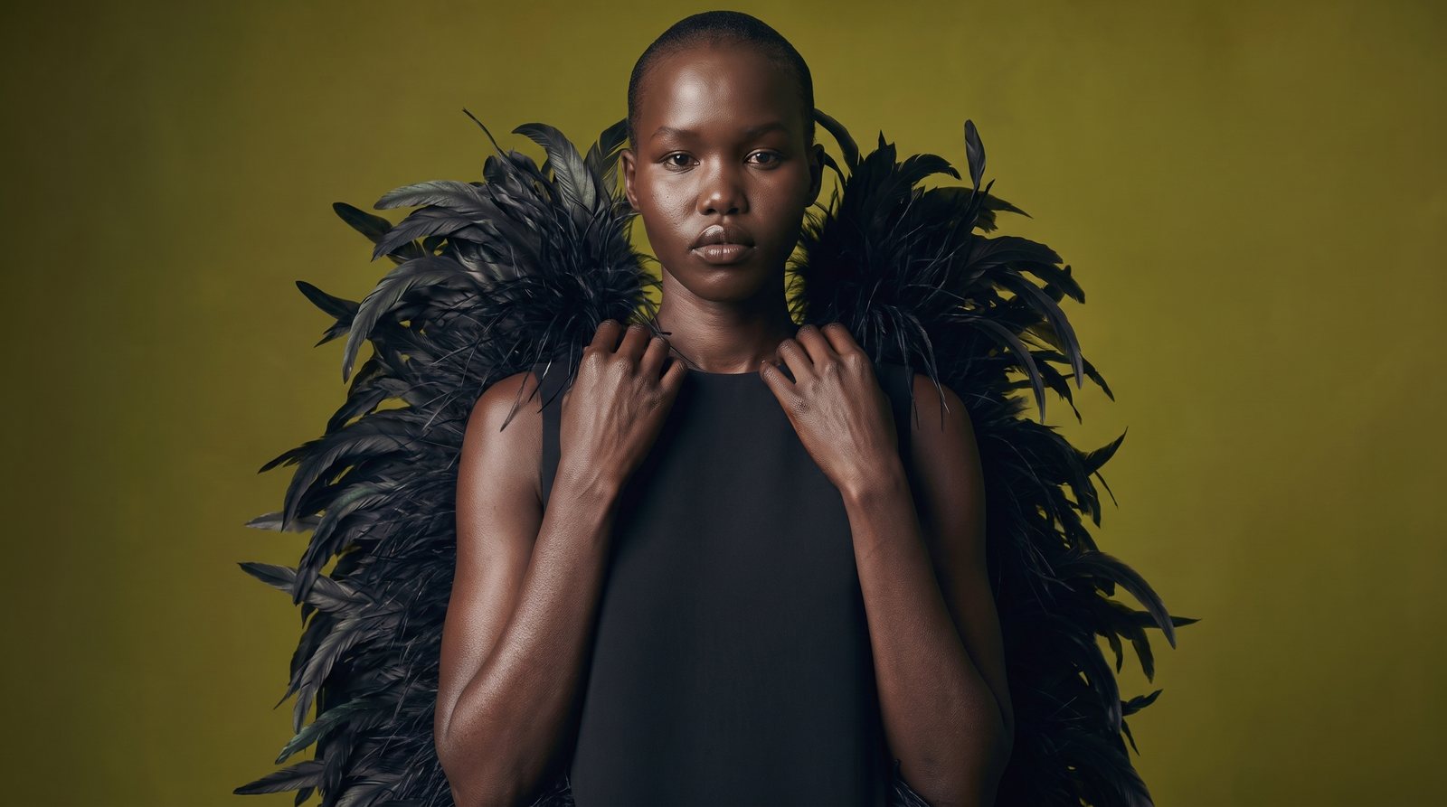 Olive Feathers